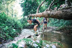 BIB: 
                            <button type="button" onclick="openModal(25434609)" class="btn btn-primary btn-sm float-right btn-popup" data-toggle="modal" data-target=".modal-high-quality">
                        <i class="fas fa-shopping-cart"></i> Add to Cart
                    </button>
                                            <button type="button" onclick="isThisMe(25434609, true)" class="btn btn-success btn-sm float-right btn-popup btn-isme hidden" data-toggle="tooltip" data-placement="bottom" title="นี่คือรูปของคุณใช่ไหม คลิกที่นี่เพื่อเอาเข้าอัลบั้ม">
                        <i class="fas fa-plus"></i> Add to album
                    </button>
                    <button type="button" onclick="isThisMe(25434609, false)" class="btn btn-warning btn-sm float-right btn-popup btn-isnotme hidden">
                        <i class="fas fa-ban"></i> Remove from album
                    </button>